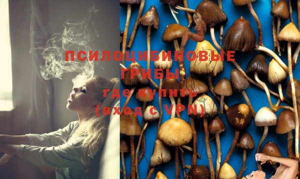 прущая мука Кукмор