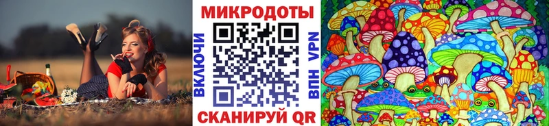 Галлюциногенные грибы мицелий  купить   Нерехта 
